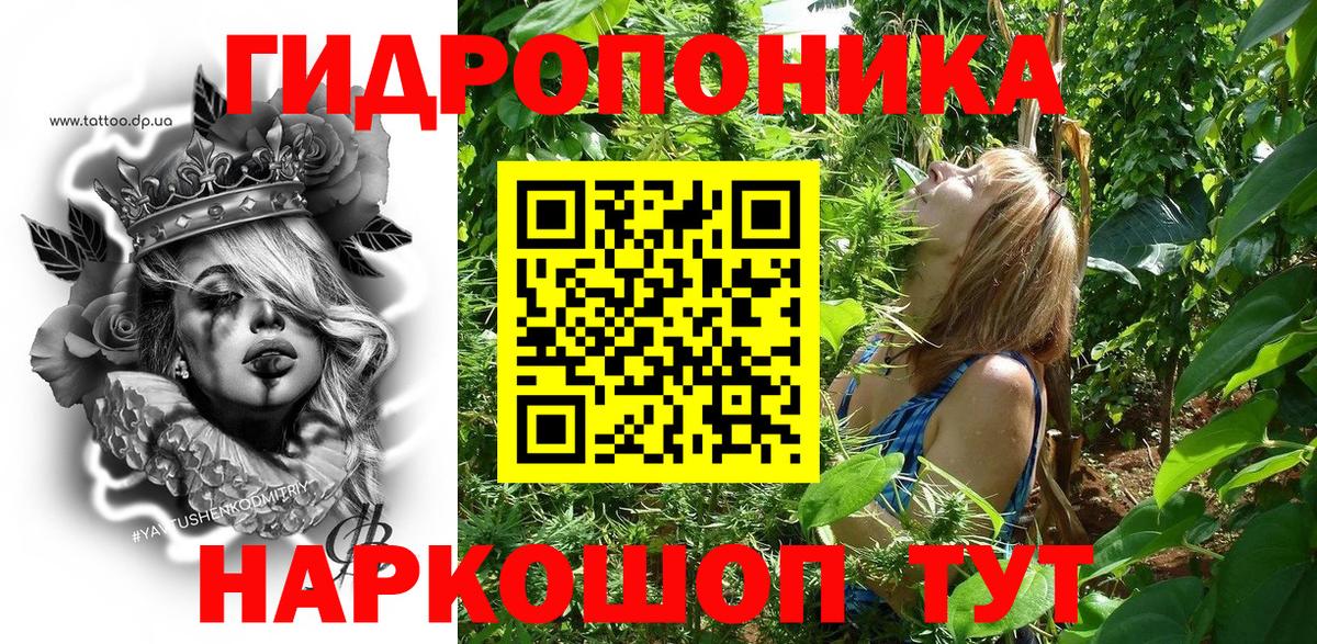 Шишки марихуана тримм  Вход с VPN  Бошки Шишки SATIVA & INDICA  Бошки Шишки конопля  Осинники 